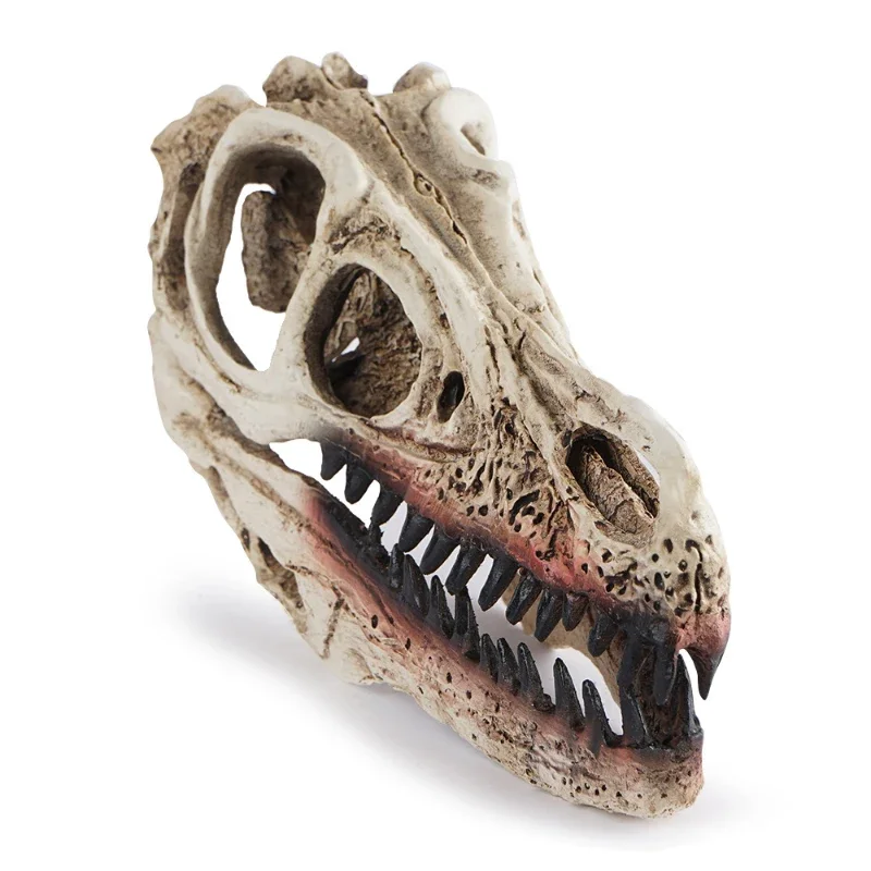 Resin Skull Velociraptor Model Dinosaur Skull Zoo Skull Specimen Display Teaching Reference Sample