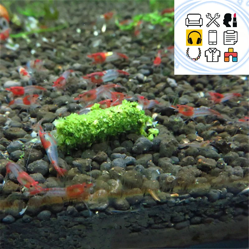 1 Bag 35g Crystal Red Shrimp Food Natural Spinach Mixed Ingredient Aquarium Fish Tank Aquarium Shrimp Food