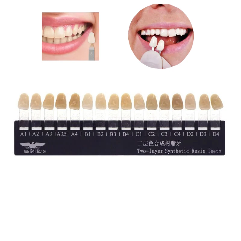 Dental Lab Synthetic Denture Teeth 28Pcs Multi‑Layer Hard Resin Teeth for Full Partial Denture Model Making Extra‑oral Lab Use