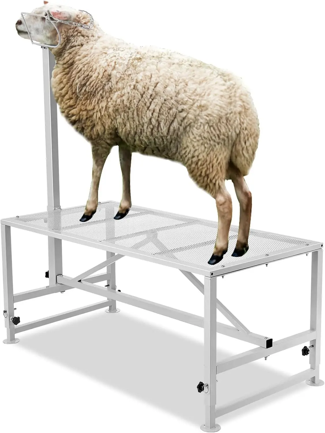 Cross-border special for sheep trimming milking rack with adjustable height 51-inch metal livestock standing rack Cross-border h