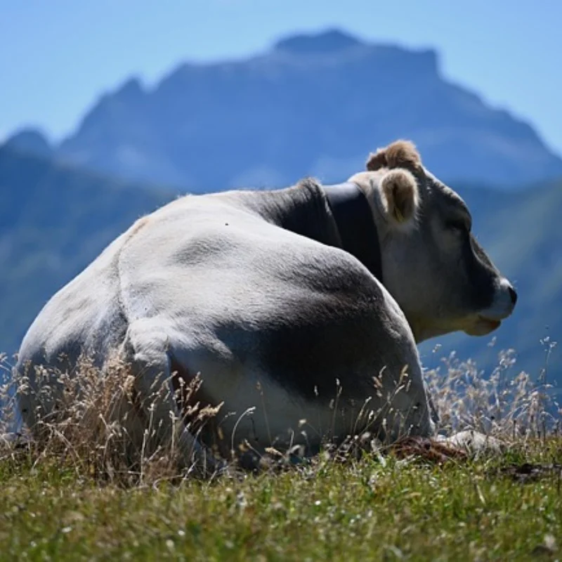 

4 шт., 1,0-дюймовый металлический обод ступицы колеса с бисером для 1/18 1/24 RC гусеничного автомобиля TRX4M Axial SCX24 AX24, обновленные детали