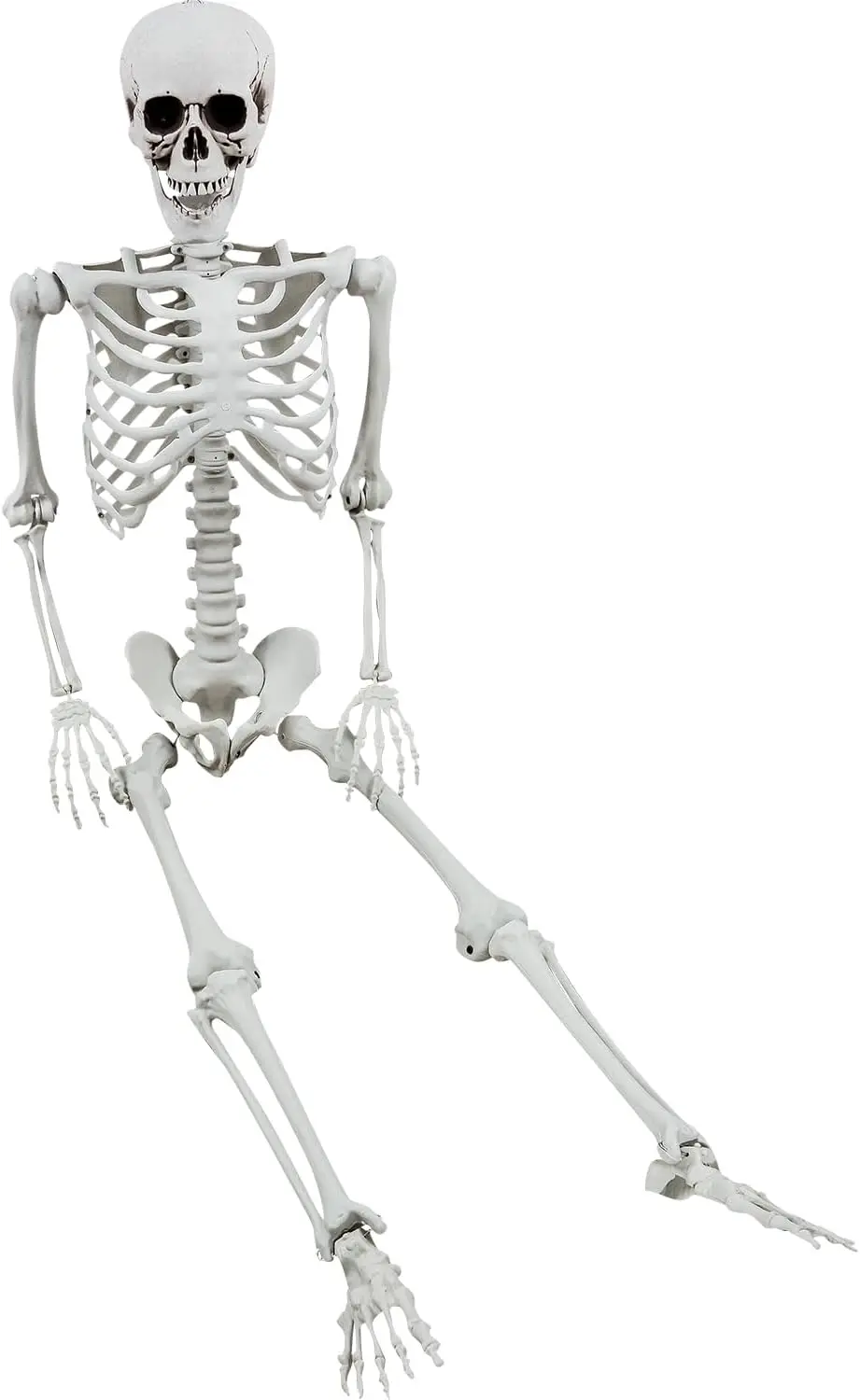 Halloween Skeleton - Halloween Human Skeletons Full Body Bones with Movable Joints for Halloween Props Spooky Party Decoration