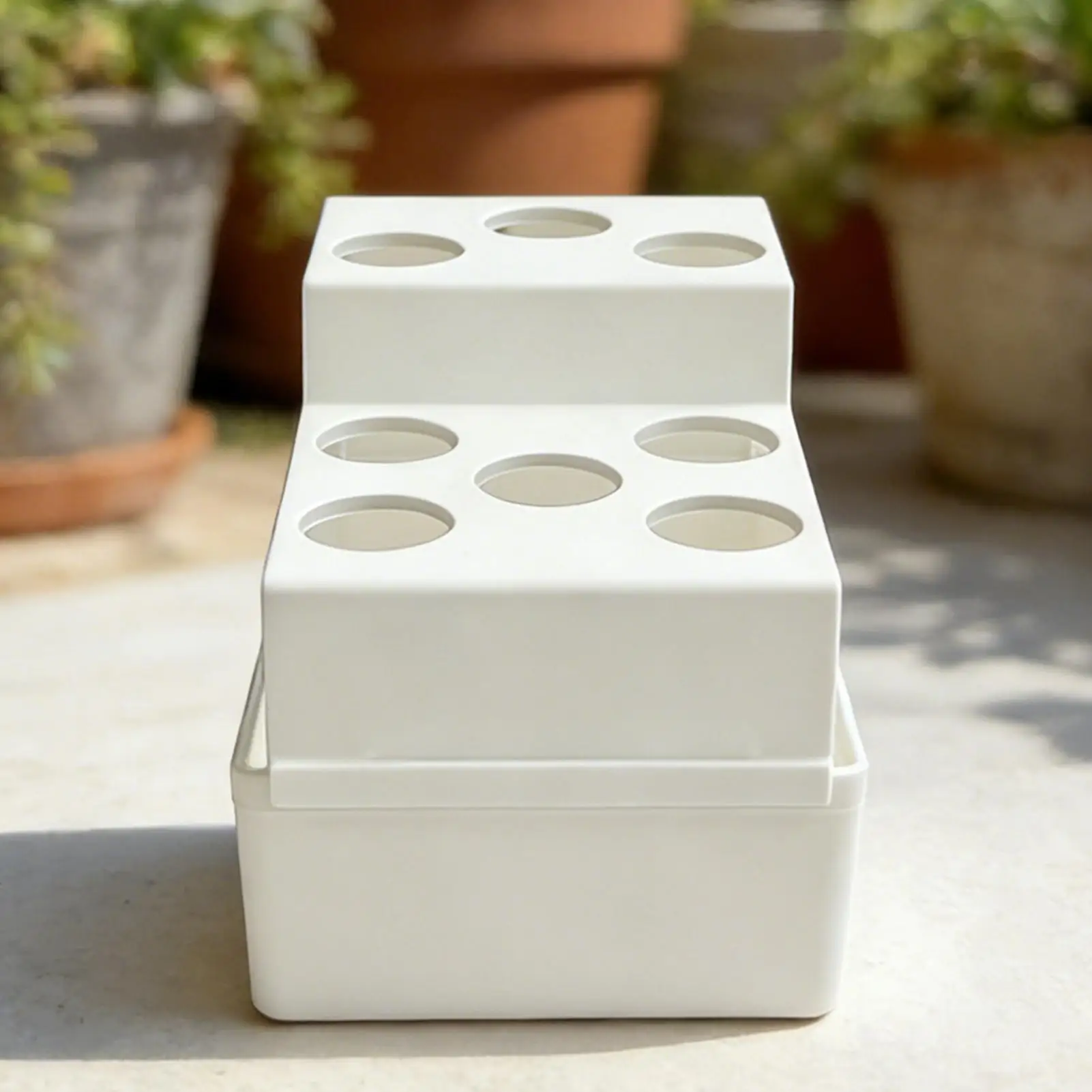 Regenerated Onion Planter - Germination Kit, Miniature Green Plant Growth Kit, suitable for windowsill gardens, indoor planting