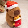 sock