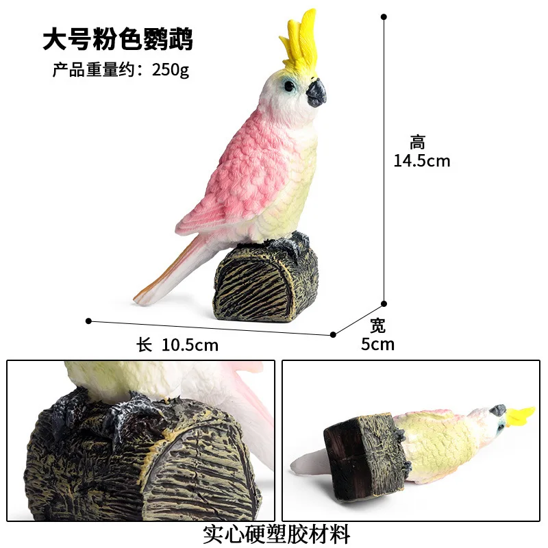 Cross-border simulation animal solid wild bird parrot animal model children's cognitive toys decorative ornaments