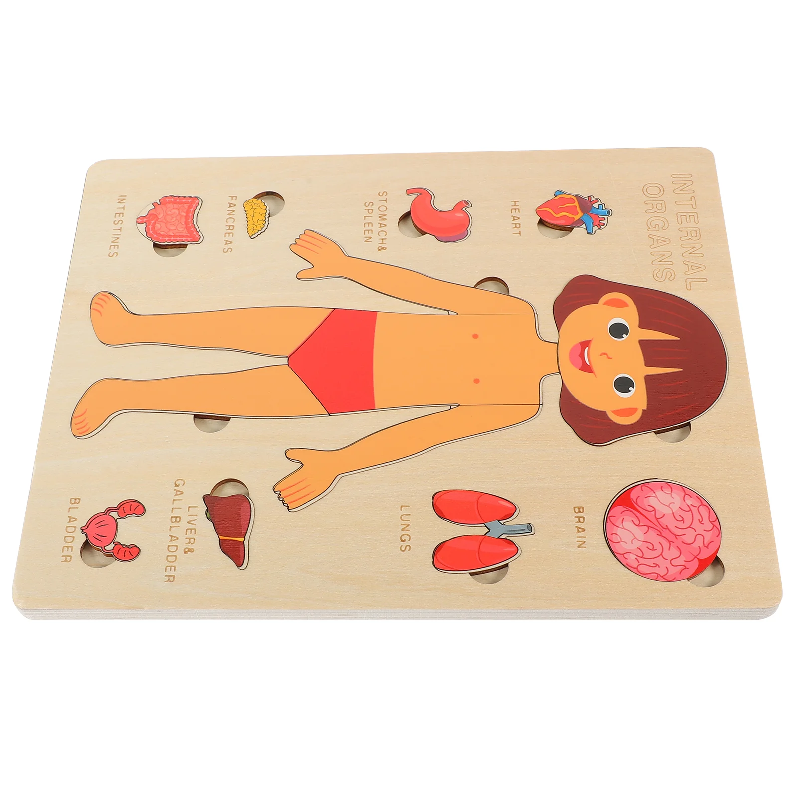 Human Body Structure Puzzle Toy Anatomy Organs Model Puzzles Pieces Wood Cognitive Tool Children Recognition