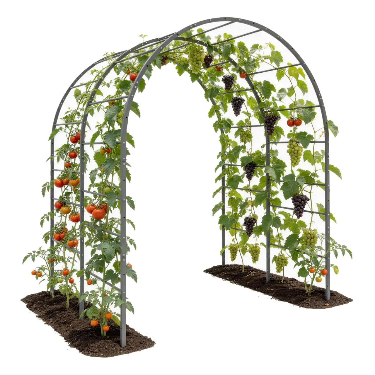 Anleolife 4x6FT Heavy Duty Double-Arch Garden Trellis for Climbing Plants, Customized