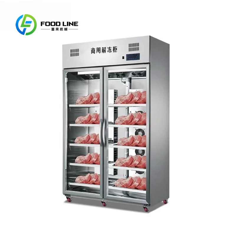 All Stainless Steel Cold Room Thawing Cabinet 80kg Double Door Low Temperature High Humidity Equipment customized Efficient