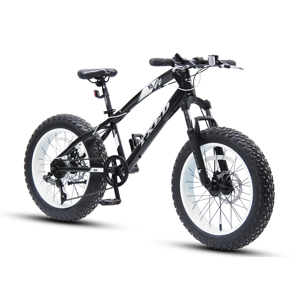 MTB now model mountain snow Bike With Fat Tirecustom