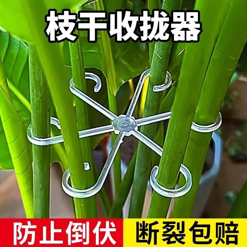Juego de 8 piezas de Clips de soporte para tallo de planta, fijador de soporte de bambú con parte trasera de tortuga para planta
