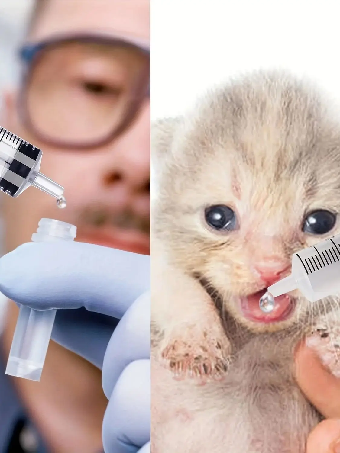 Seringue 20PCS1ML/3ML/5ML/10D avec capuchon, pour colle, distribution et mesure de liquides, aliments pour animaux de compagnie, recharge de cartouche d'encre, etc.