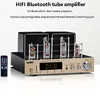 PM50 결합 튜브 전력 증폭기, 블루투스 연결, 상단 HIF 전력 증폭기, 6F1*2 및 6U1*2 튜브 통합 전력 증폭기 1