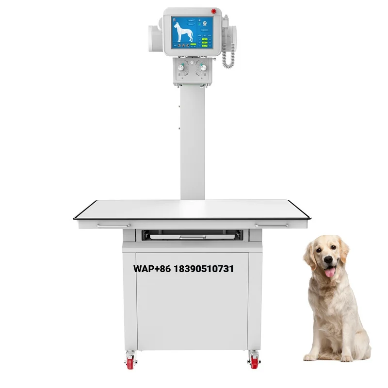 Pet hospital new design high frequency 20KW 200mA veterinary fixed medical x-ray equipment