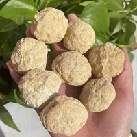Natural Unopened Agate Geode Raw Crystals Mineral Energy Healing Rough Stones Crystal Cluster Cave Collection Specimen Gift