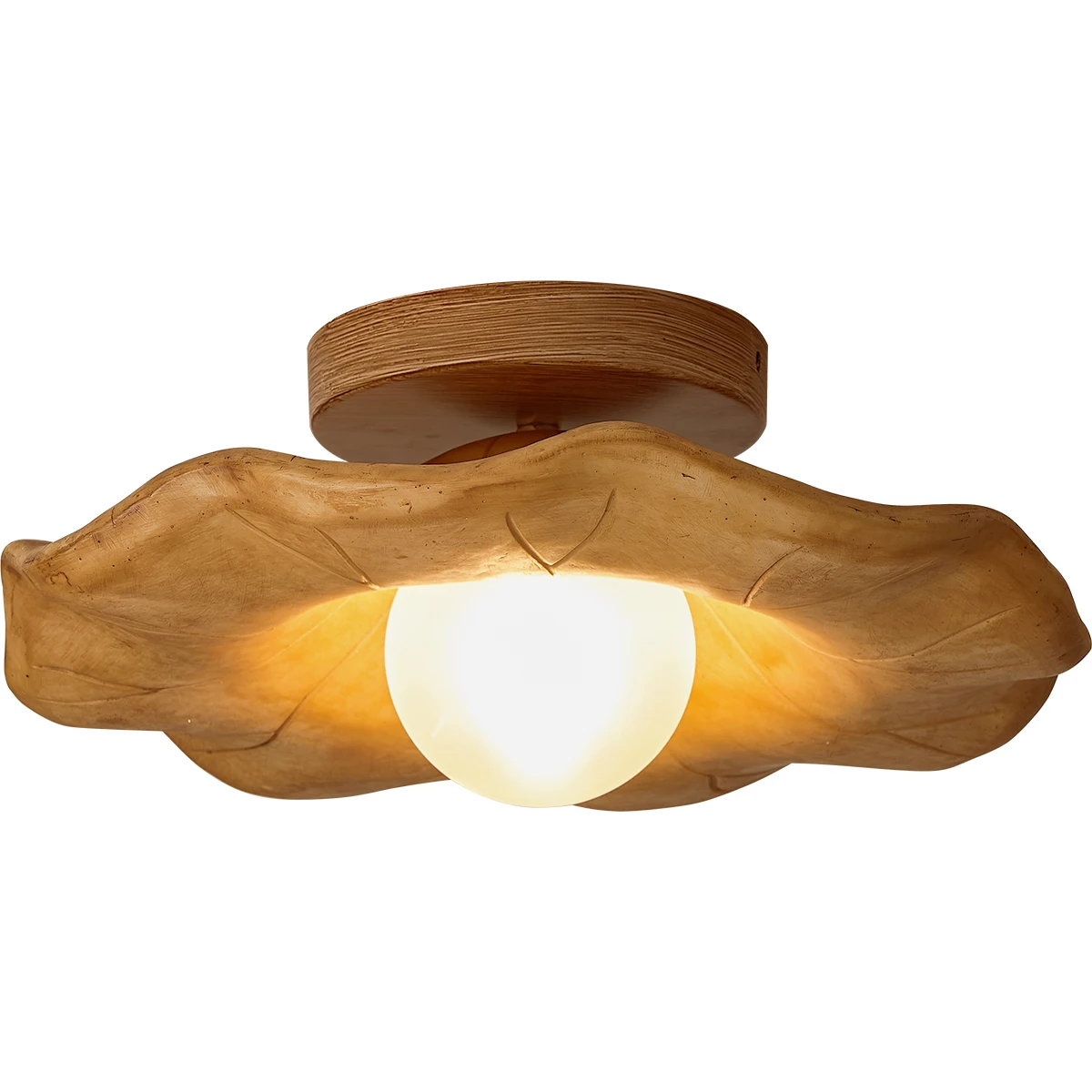 Chinese Zen style ceiling lamp and lotus leaf creative Japanese style porch lamp, sun table lamp, hallway, entrance homestay