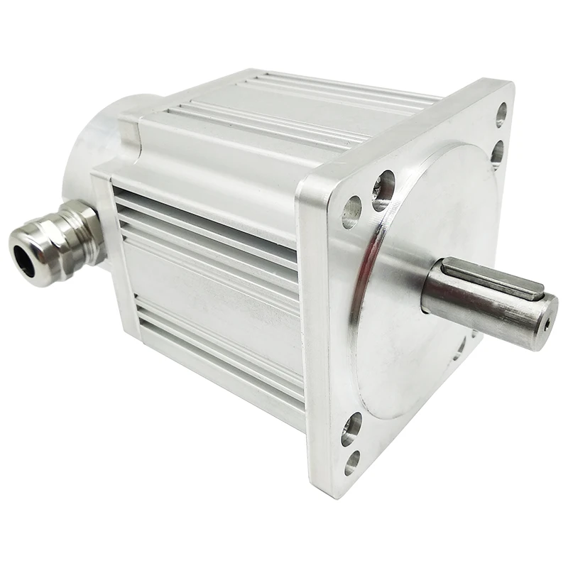 Brushless dc motor bldc motor 310v 3000 rpm