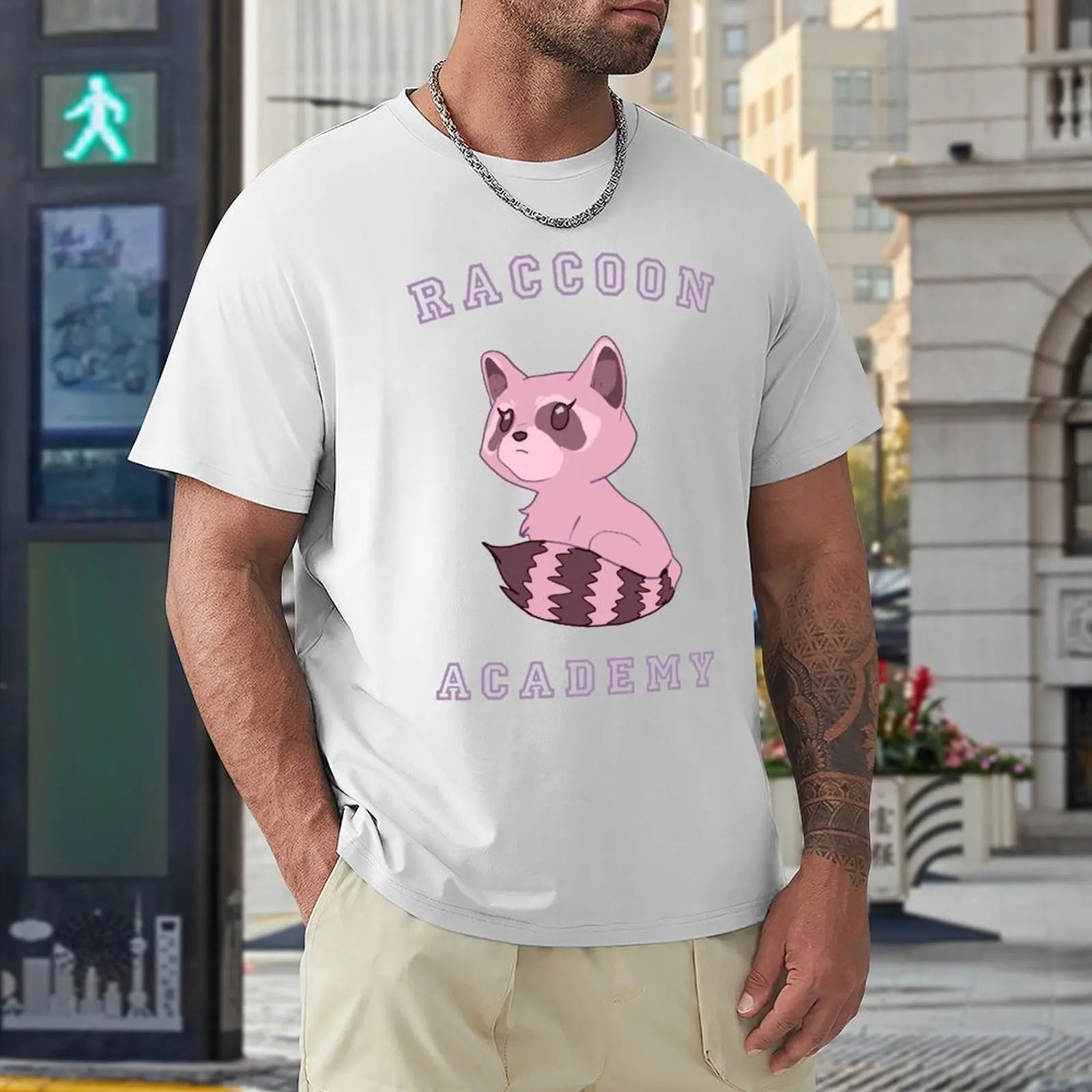 ACADEMIA DE RACCOON-T-shirt estética regular masculina, campanha fresca, T-shirt vintage engraçada, gráfico legal, casa, tamanho Eur