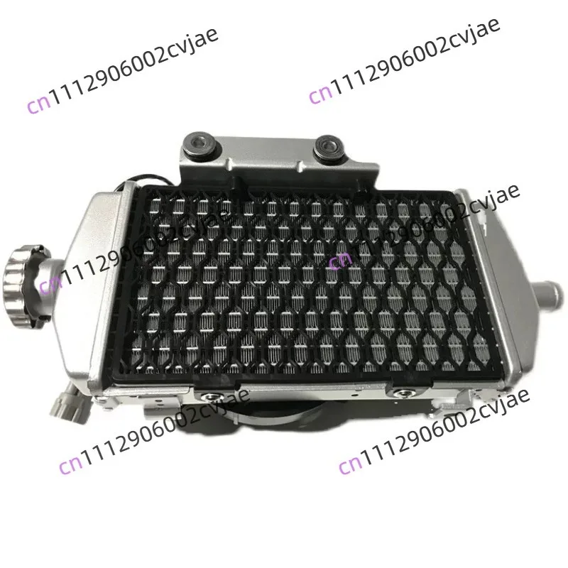 Accessories  LX300GY-D GY300 Motorcycle Original Radiator Water Tank With Cooling Water Tank Water Tank With Fan