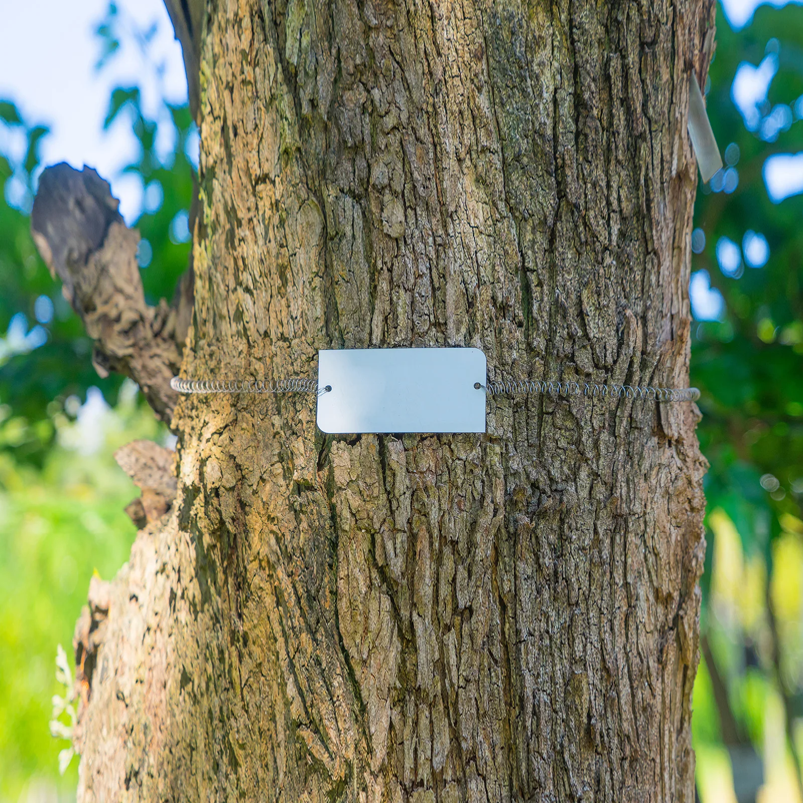 15/25/35 قطعة الفولاذ المقاوم للصدأ علامات فارغة النقش الفراغات بطاقة لوحات فارغة مع 4 حفرة لآلة لوحة DIY بها بنفسك التسمية العلامة