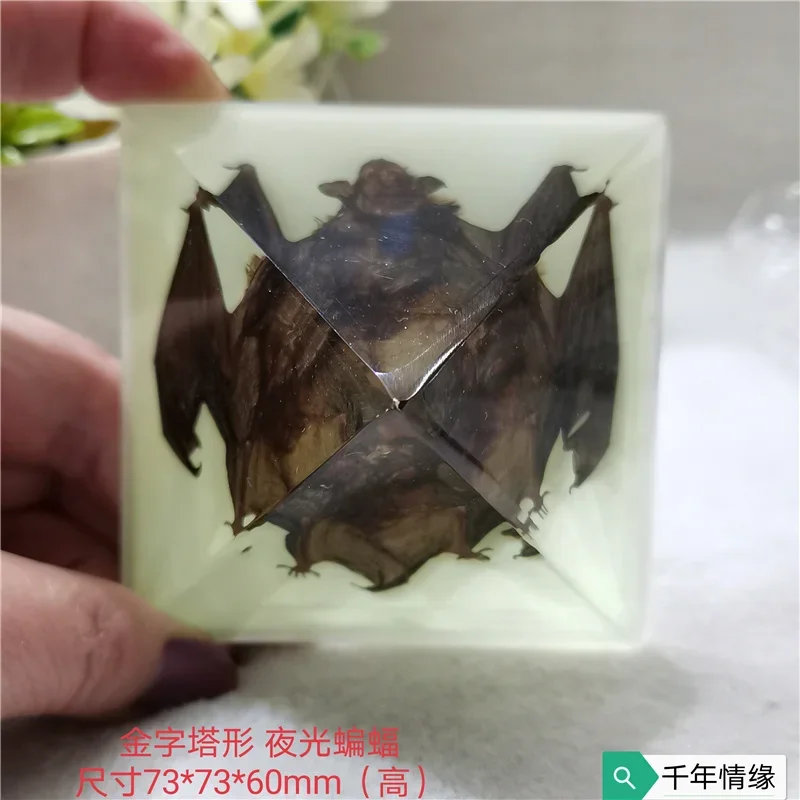 

Resin embedded artificial amber crystal insect specimen creative stage decoration pyramid decoration