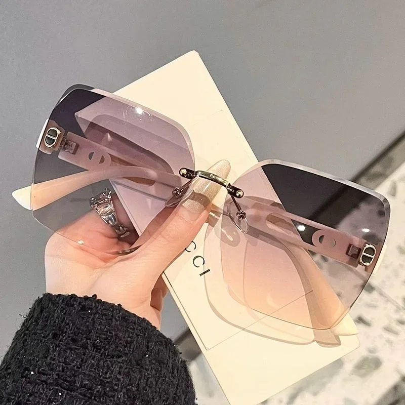 Large Frame Trendy Simple Hollow Temple Sunglasses Women DS-24007 Fashionable UV Protection Eyewear for Ladies