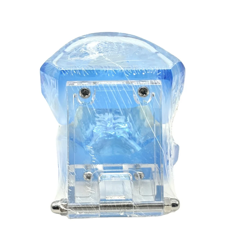 Рисунок 3 - Модель зубных протезов Полуметаллический