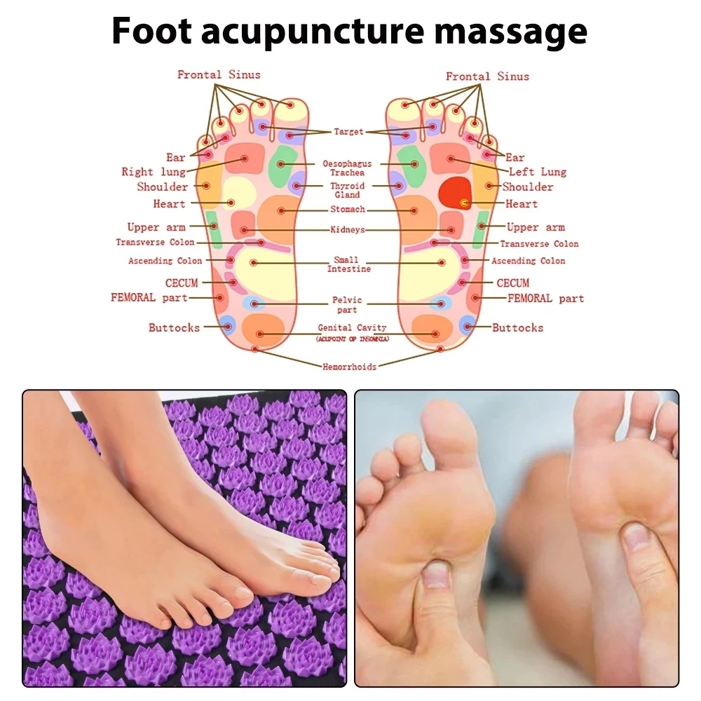 Thumbnail 4 - #24 Shiatsu Massage Cushions Discount Picks