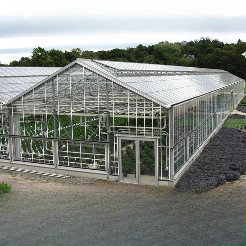 2025All'ingrosso di cornici per serra in vetro - Capannone per serra multipiano collegato con ombreggiatura di fiori per piantare uva