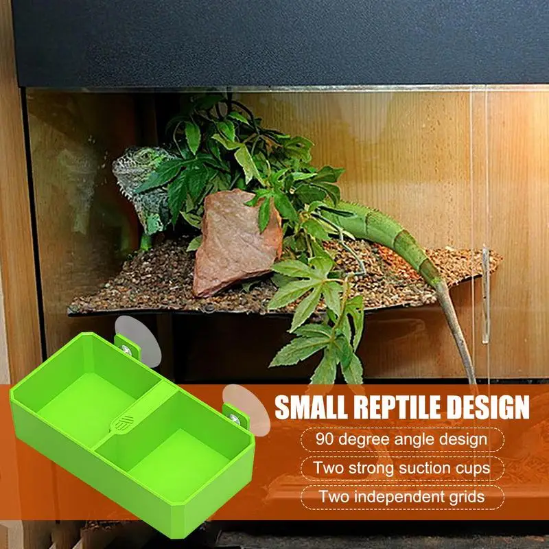 

Reptile Feeding Bowl Reptiles Feeder Water Bowls 2 Grid Reptile Food Bowl Feeder Water Bowls For Gecko Lizard Bearded Snakes