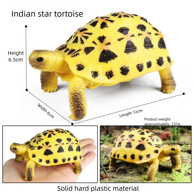 Oenux Simulations-Schildkröten-Set: Alligator, Galapagos-Schildkröte, Chinesische Weichschildkröte Figuren und Puppen – Detail 18