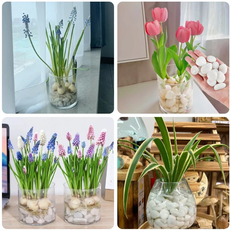 300 جرام/800 جرام 2-3 سنتيمتر الحصى البيضاء ، الطبيعية عالية مصقول بوعاء خزان الأسماك حجر الزخرفية ، حديقة المناظر الطبيعية الديكور الحصى