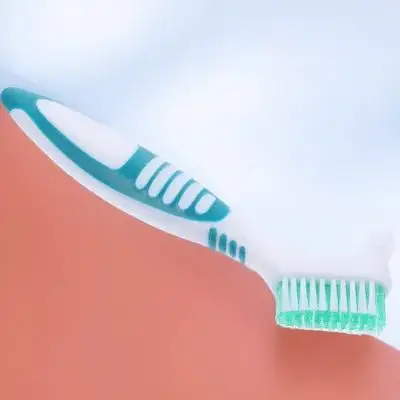 Double-Side Turtle Shell Cleaning Brush with Soft Nylon Bristles for Aquatic Pets – Premium Handle