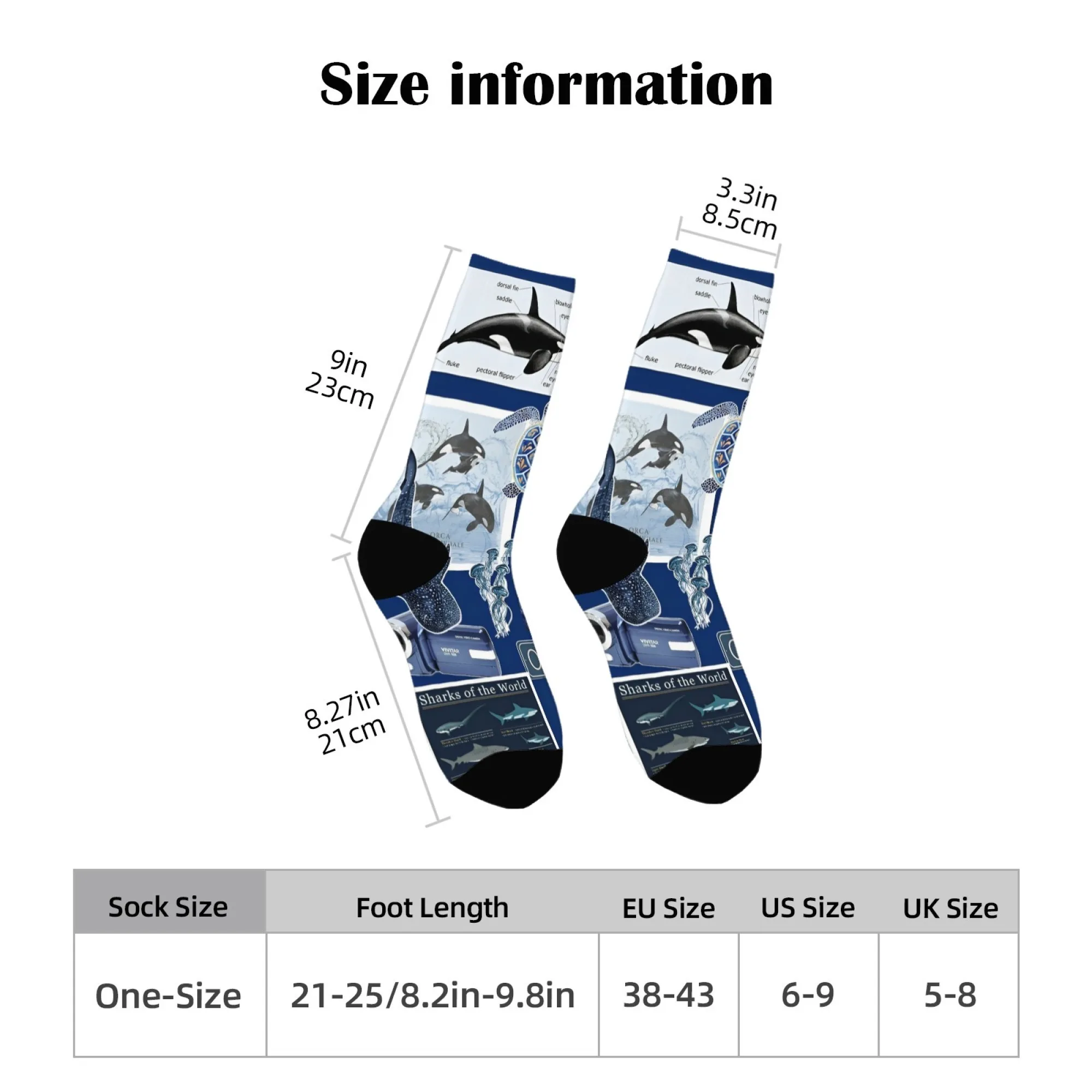 海洋愛好家のための教育ギフト 靴下 レトロな科学イラストスタイルのスタンプシールデザイン ユニークなノベルティソックス