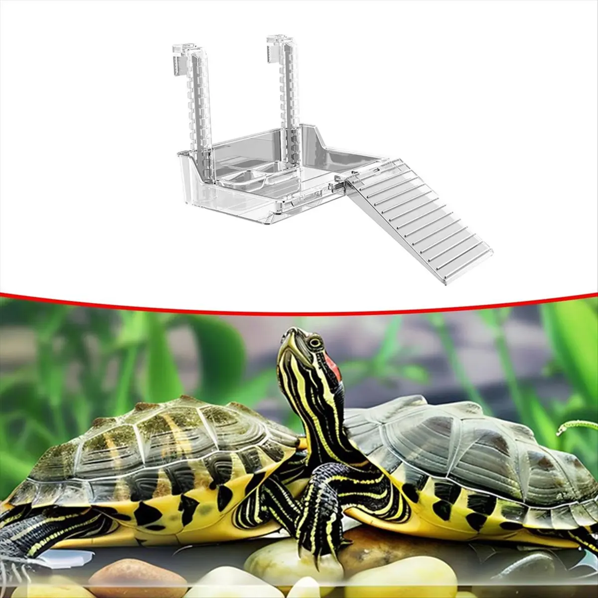 ABZT New Turtle Tank Platform Aquatic Reptile Basking Platform Turtles Turtle Tank Dock Transparent Tortoise Resting Terrace