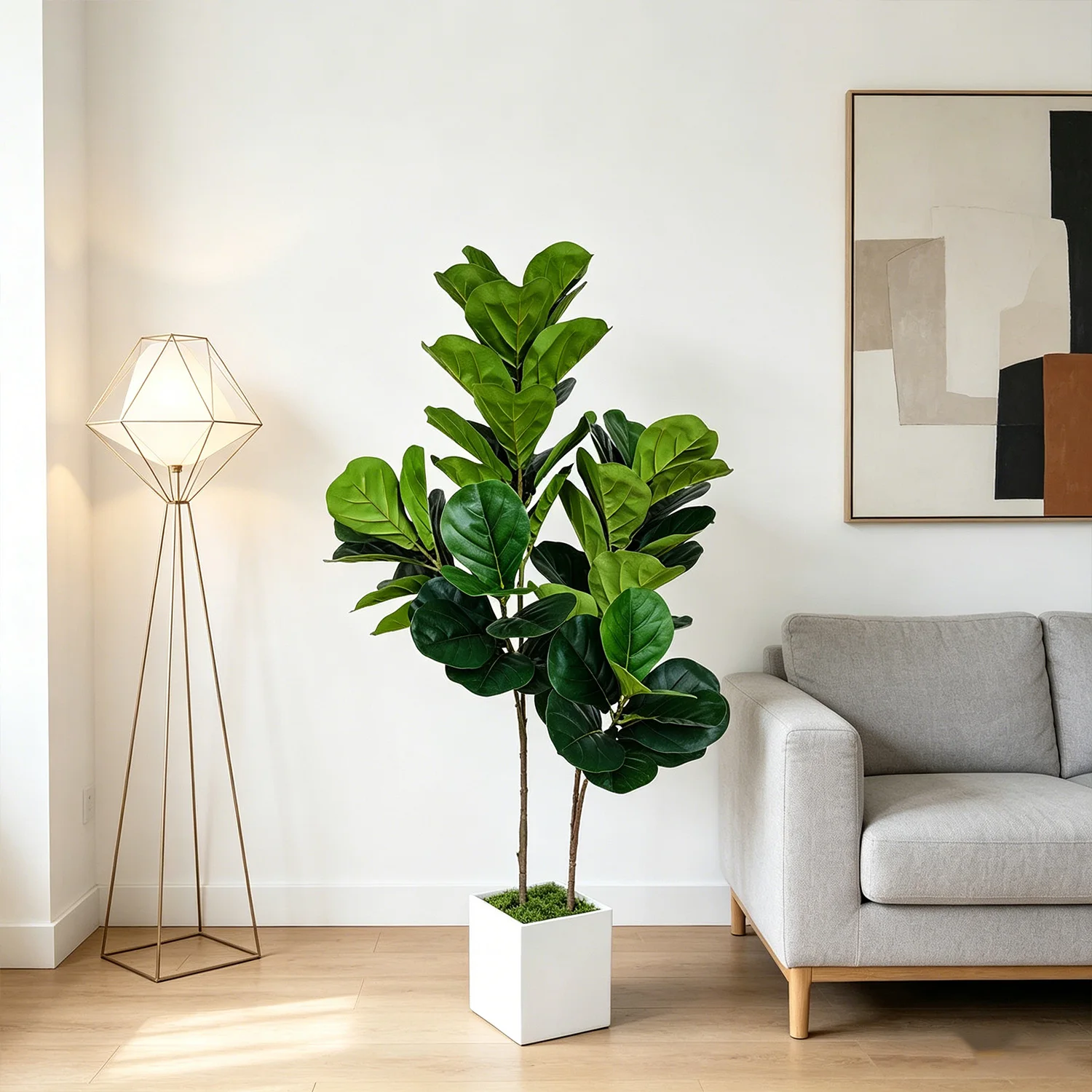 ต้นไม้ประดิษฐ์ ฟิคัส ลิราตา ขน - Ficus Lyrata Tree บทวิจารณ์และราคา