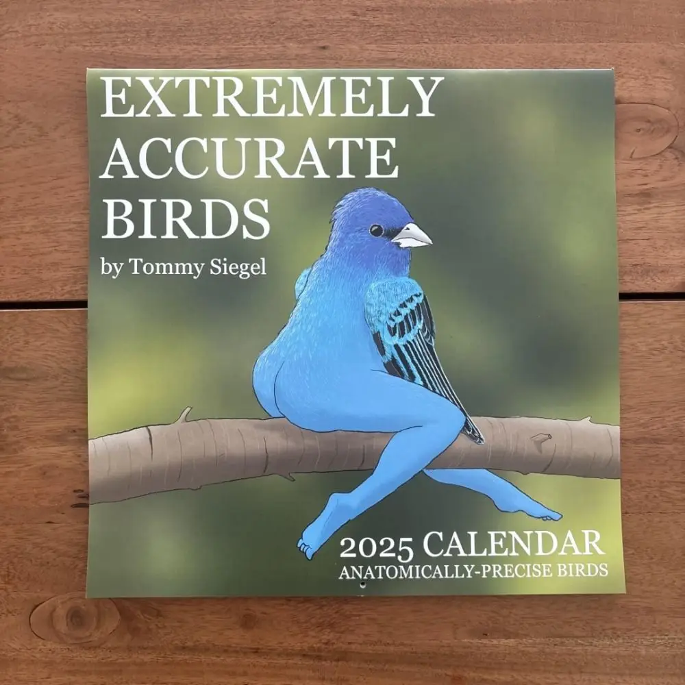 2025 Calendar of Extremely Accurate Birds Multifunctional Paper Wall Calendar Gift Home Decoration Schedule Easy Install