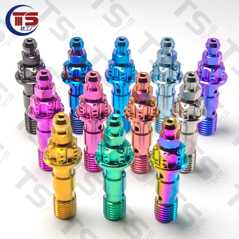 TS 2pcs and 10pcs Titanium Factory Titanium Alloy Caliper Double Layer Tubing Exhaust Screw M10X1.0mm 1.25mm