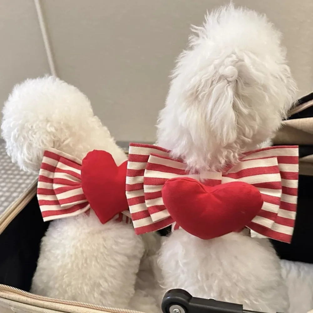 Cute Dog Harness Heart Shaped Chest Strap Dog Red Heart Stripe Set Traction Rope Chest Strap Set Maltese Walking Dog Rope Pet