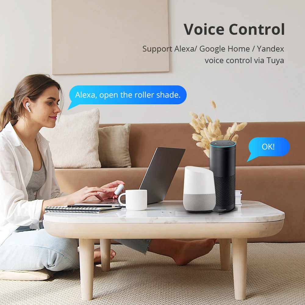 Blindsmart Tuya WiFi Electric Roller Shade Motor for 17mm 25mm 28mm Tube Built-in Battery Alexa Google Home Alice Voice Control