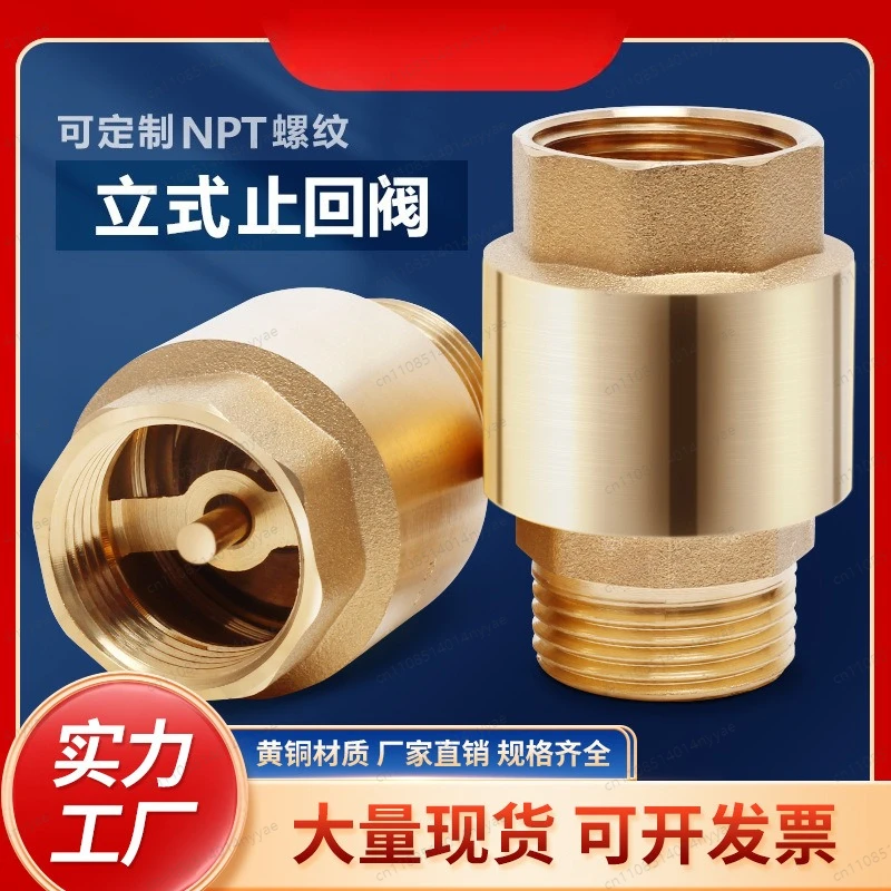 Custom Industrial Check Valve - Vertical Spring Loaded Brass Non-Return Valve for Kitchen Plumbing, Anti-Backflow Design