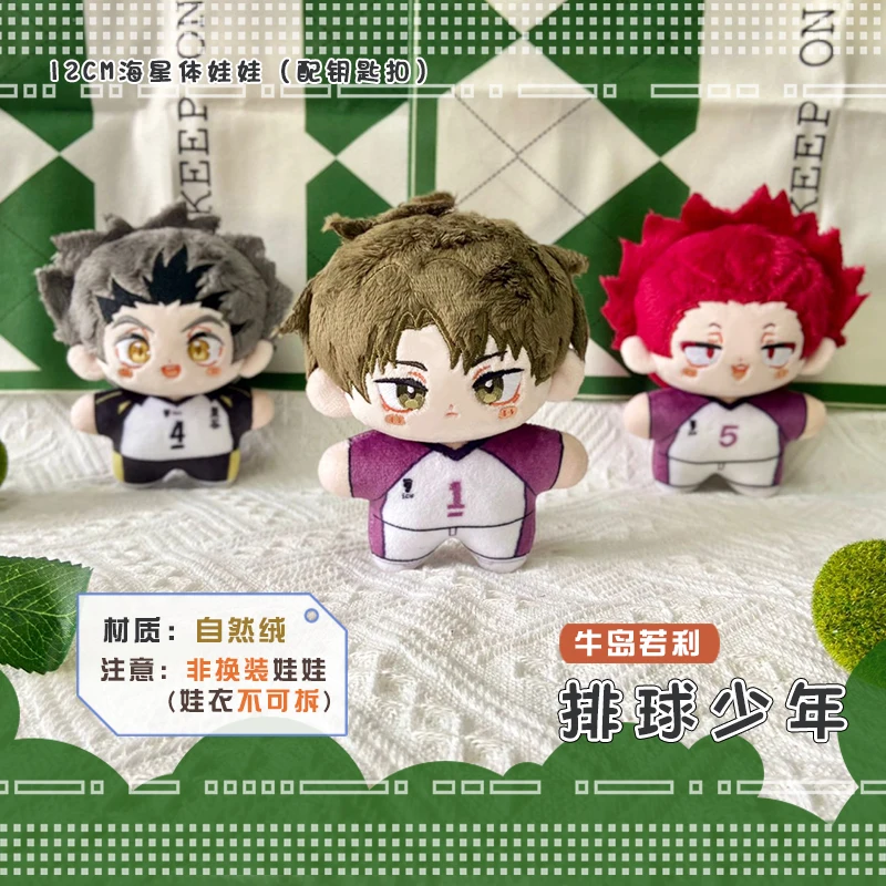 Volleyball Plush Ushijima Wakatoshi Kotaro Bokuto Tendou Tatori Sakusa Kiyoomi Anime Cosplay Pendant Keychain Kids Gift