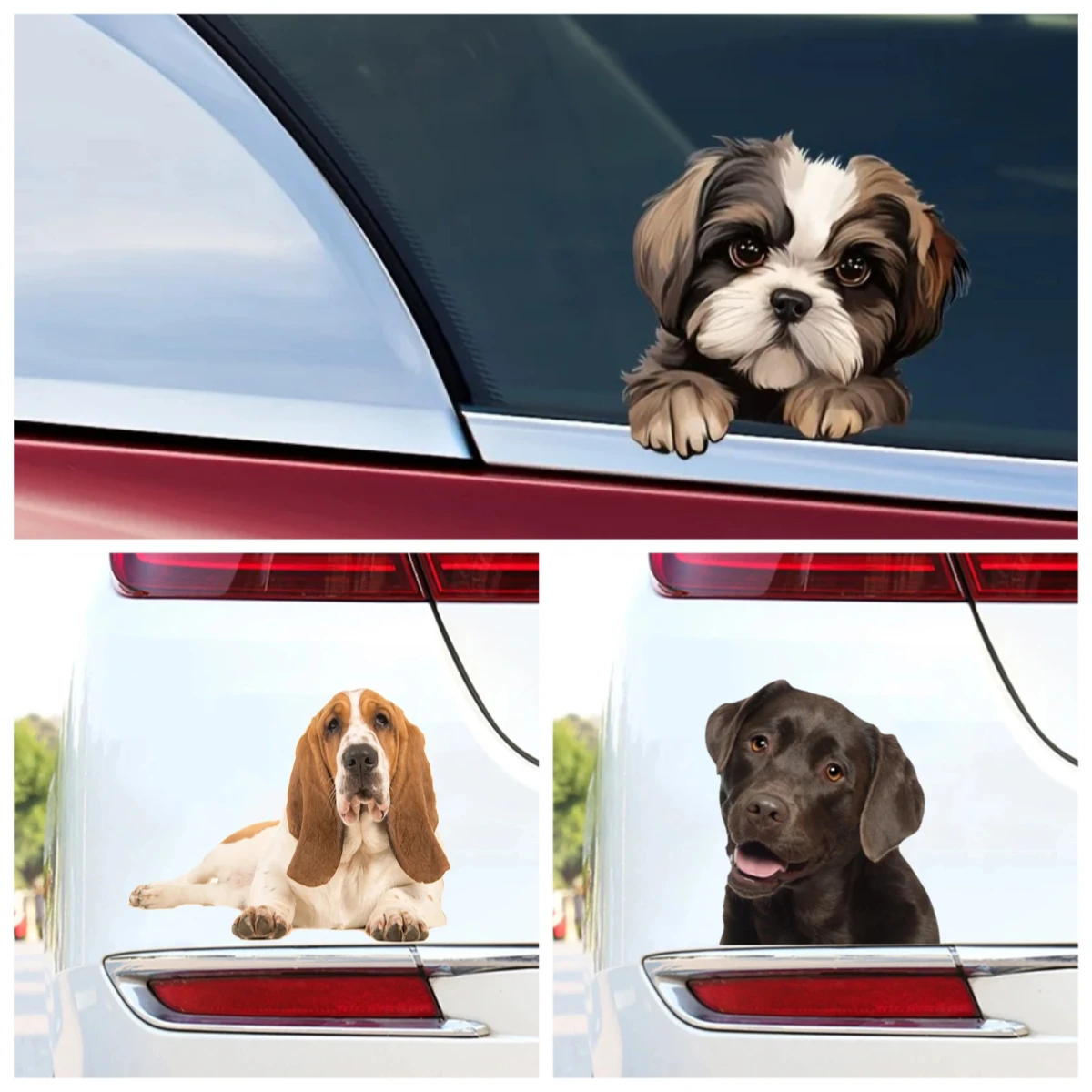 

The Shih Tzu Dog Watches You Car Decals Bumper Window Stickers Car Accessories Waterproof Material