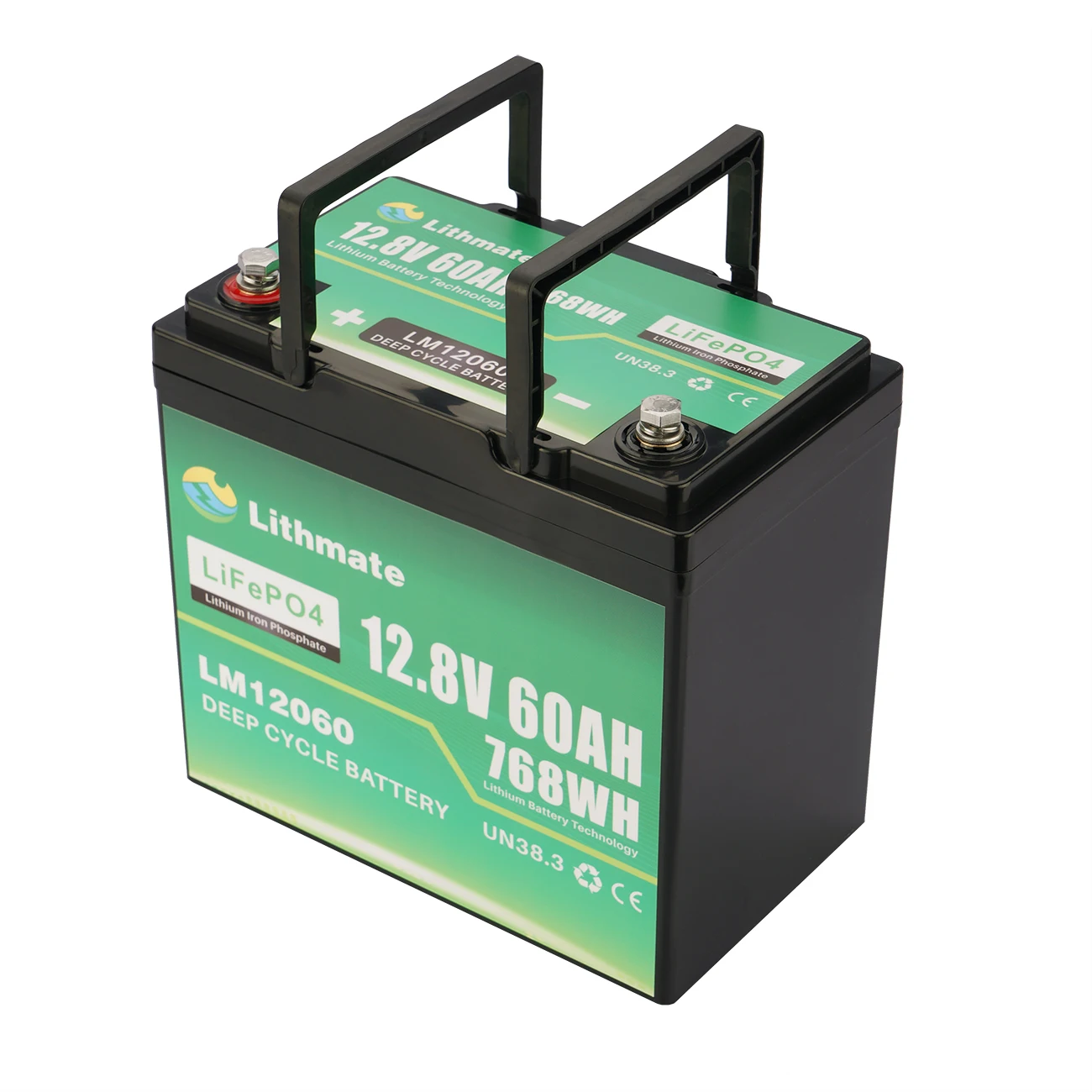 

Hot Selling Deep Cycle Lithium Ion Batteries 12V 60Ah LiFePO4 Battery