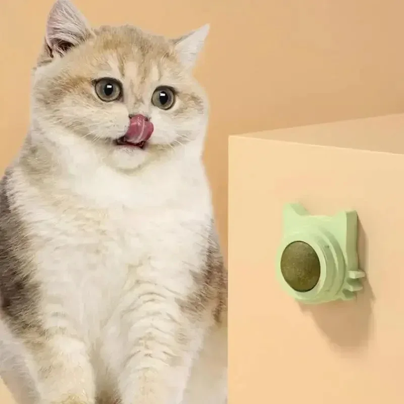 Catnip Balls Funny Lickable Dental Chew Toys for Kittens Interactive Teeth Cleaning Small Medium Cats Multi Color Pet Supplies image 4