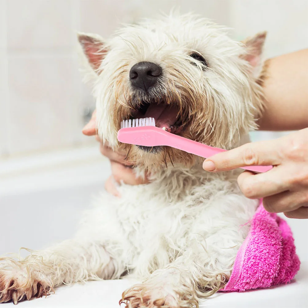 

12Pcs Pet Toothbrush Dual-Head Dog Toothbrush Large Small Brush Heads Oral Cleaning Tool for Dogs Puppies Small Dogs