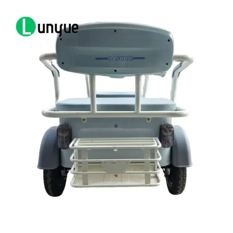 60V Electric Tricycle for Adults Seniors Open Steel Frame 300kg Payload 30km/h Speed 3-5h Charging Time