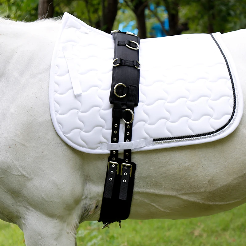 Cavassion équestre cavitation école Pablo équitation fente tout usage pour la formation jeune cheval pour la fuite et l'école