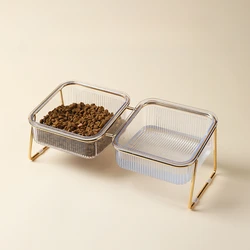 Transparent Cat Bowl with Raised Stand - Slanted Neck Protection for Drinking and Feeding - Easy to Clean Dual Iron Bowls