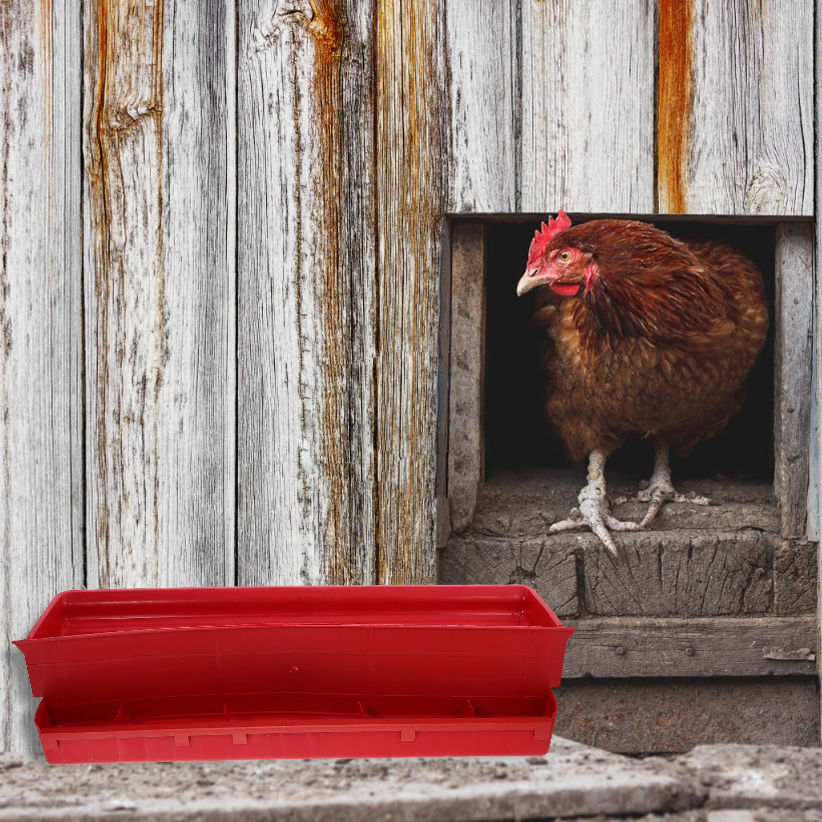 

Automatic Chicken Feeder Premium Plastic Poultry Cage Trough Bird Feeding Dish Outdoor Pigeon Food Container Feeding Supplies