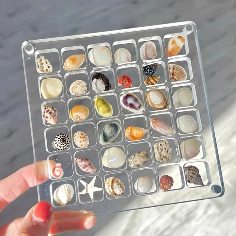 

Магнитная витрина из акрила в виде ракушек